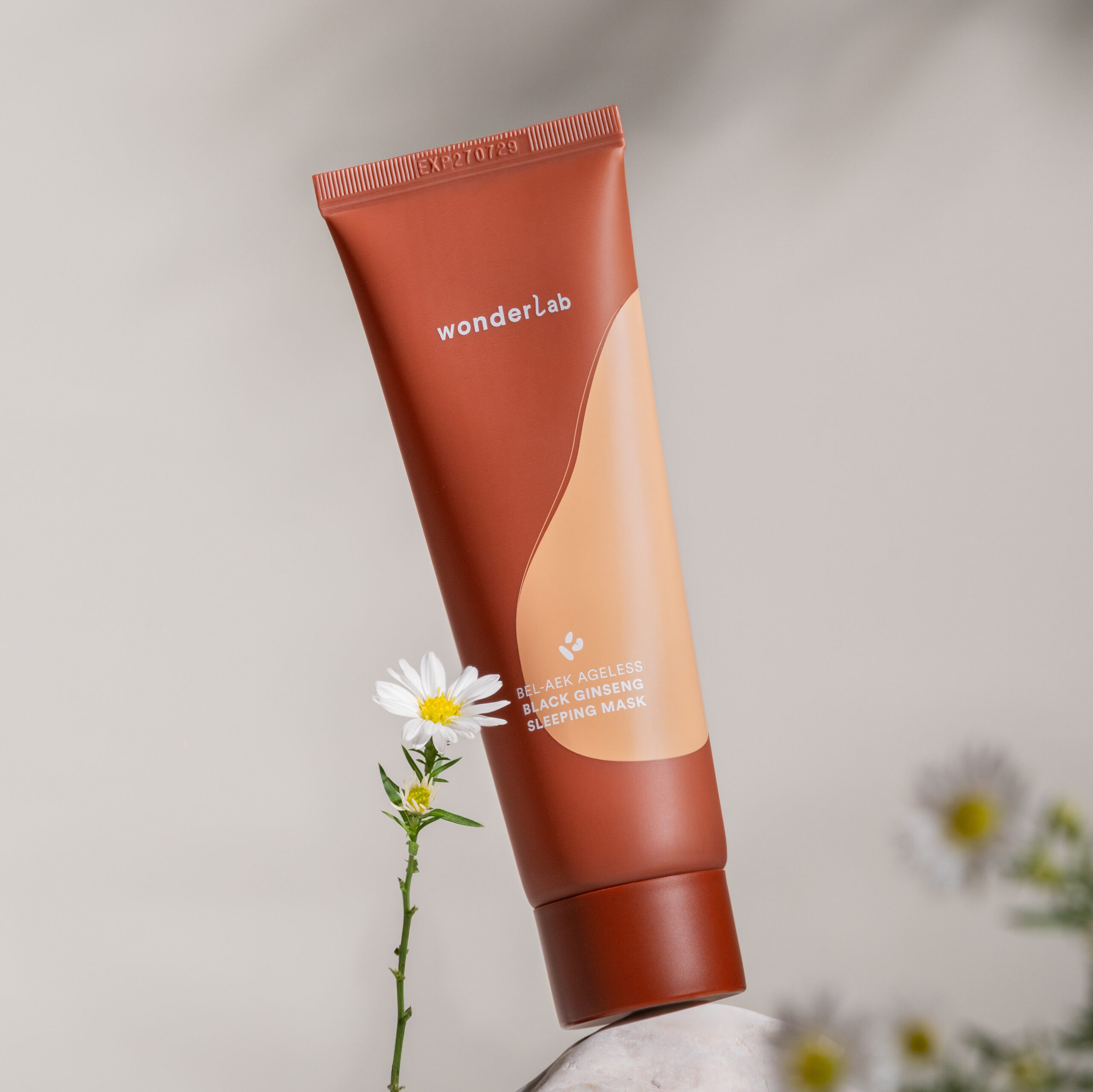 Why Black Ginseng Sleeping Mask?