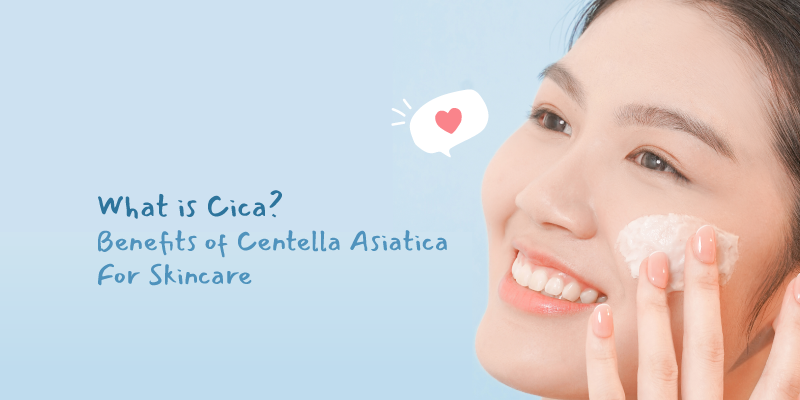 cover-Article_What-is-Cica-Benefits-of-Centella-Asiatica-For-Skincare